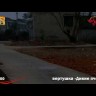 Летающий фейерверк Дикие пчелы